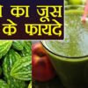 करेले के जूस पीने का फायदा KARELA KA JUICE PEENE KE FAYDE