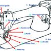 सिलाई मशीन के पार्ट्स के नाम हिंदी में SILAI MACHINE PARTS NAME